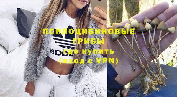 ешки Вязьма