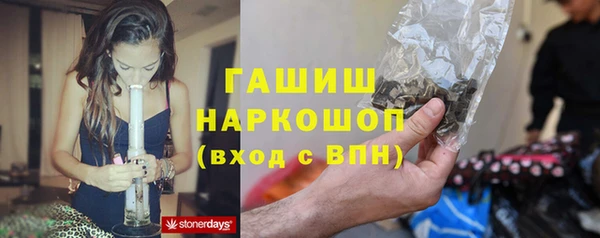 стафф Волоколамск
