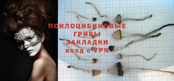 стафф Волоколамск