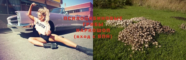 ALPHA-PVP Горнозаводск